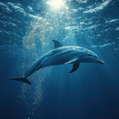 Fototapeta premium Dolphin Swimming Underwater with Sunbeams and Bubbles in Deep Ocean