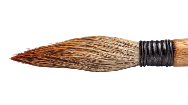 Close up of a new paint brush showing tapered bristles and wooden handle with metal ferrule, isolated on transparent background, ready for creative projects