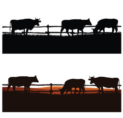 herd of domestic cows grazing in the field behind wooden fence - cattle farm vector silhouette outdoors scene