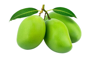 Raw Mango Bunch Green Free PNG and Clipart