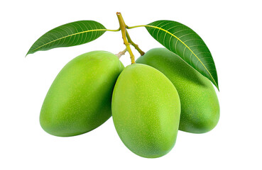 Raw Mango Bunch Green Free PNG and Clipart