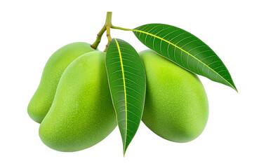Raw Mango Bunch Green Free PNG and Clipart