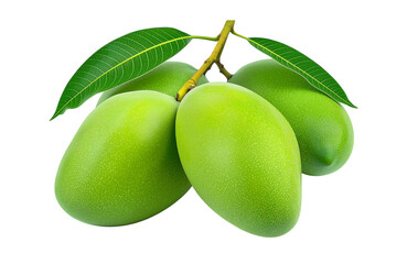 Raw Mango Bunch Green Free PNG and Clipart