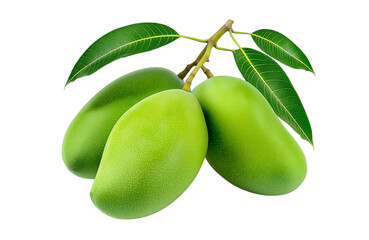 Raw Mango Bunch Green Free PNG and Clipart
