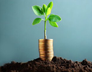 tacks of gold coins with growing plants. Financial growth concept.