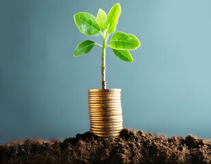 How about A plant growing from a pile of coins symbolizing financial growth and investment?