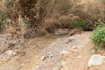 Shallow  narrow mountain stream flows in Arugot Stream Nature Reserve near Dead Sea in southern Israel