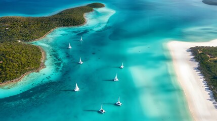 Obraz premium Aerial View of Boats Sailing in Turquoise Waters around Whitehaven Beach, Whitsundays, Australia: White Sand, Lush Greenery, Sailboats Creating Patterns, Clear Skies, Panoramic View