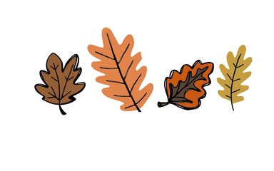 Obraz premium set of autumn leaves. Autumn Leaf Clipart: A set of cute autumn-themed leaf illustrations, ideal for greeting cards, scrapbooking, or other craft projects.