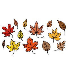 Obraz premium set of autumn leaves. Autumn Leaf Clipart: A set of cute autumn-themed leaf illustrations, ideal for greeting cards, scrapbooking, or other craft projects.