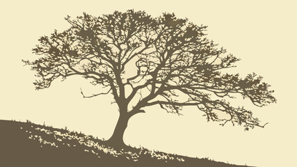 tree silhouette vector