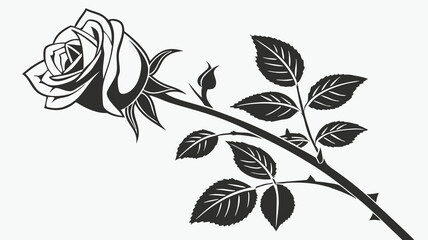 vector illustration of a rose