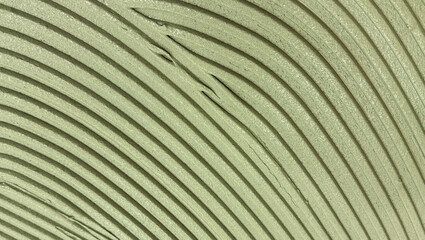 Textured surface with vertical green lines and soft shadows, abstract architectural background..
