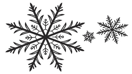 black and white floral ornament