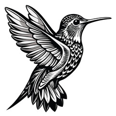 Fototapeta premium Hummingbird in Flight Illustration