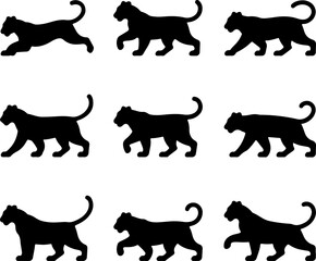 Tiger silhouette vector design