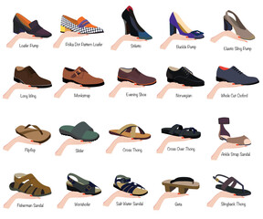Set of Footwear Collection with name Vector Art