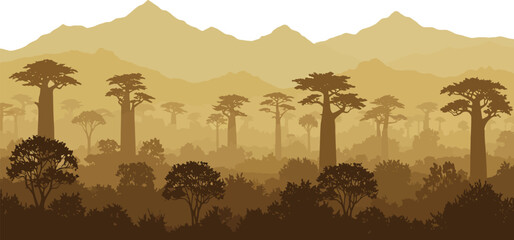 Golden-hued baobab forest silhouetted trees with misty rolling hills backdrop.  