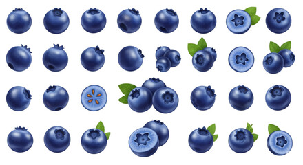 A collection of realistic blueberry illustrations, including single berries, clusters of blueberries, and halved blueberries showing the internal structure, some with green leaves.