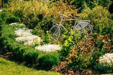 A charming white bicycle, beautifully placed among vibrant blooming flowers, enhances the lush...