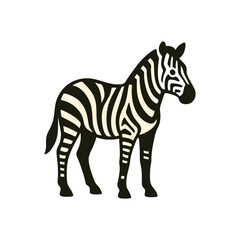 zebra isolated on white background