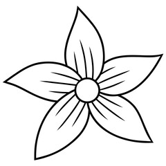 vector illustration of a star flower