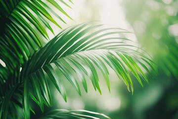 Obraz premium Exotic Tropical Beach with Palm Leaves in Focus