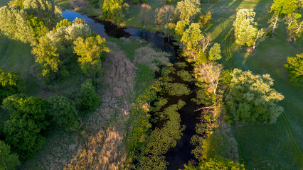 Aerial view of the Rogalin Landscape Park, Poland.