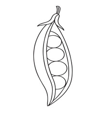 Realistic Detailed Digital Art of Pea Pod in 4K Resolution