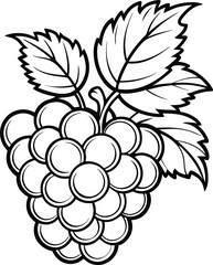 Fototapeta premium Grapes vector line art