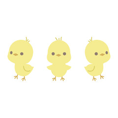 ひよこ　chick