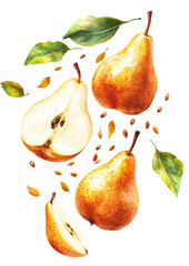 Whole and sliced pears appear to float against a light background, showcasing their fresh texture and natural beauty.