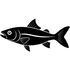 fish vector illustration