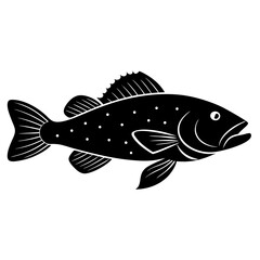 fish on a white background