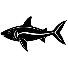 shark vector illustration