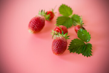 Fresh ripe strawberries on a pink background from above