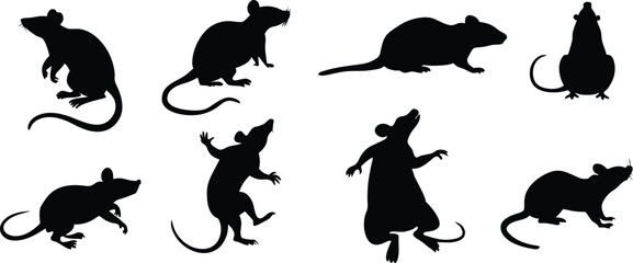 Obraz premium black rat silhouettes illustration.