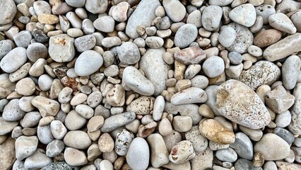 Smooth sea pebbles cover the shore in a natural coastal pattern. Beach texture, marine background, nature detail, seaside calm, minimalist composition, ocean shore, relaxation, travel mood. 