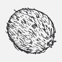 Doodle elements of fruit and vegetable, specifically a kivi