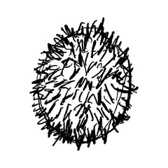 Doodle elements of fruit and vegetable, specifically a Kivi
