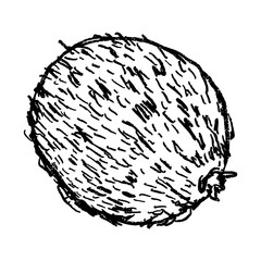 Doodle elements of fruit and vegetable, specifically a Kivi