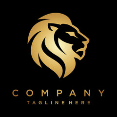 Lion Logo Designs