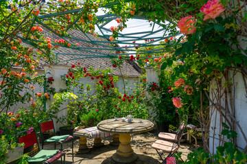 Serenic image of a charming garden with a table set for tea amidst blooming roses and greenery, evoking calmness and leisure