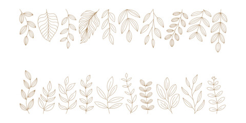 Collection of elegant line art botanical illustrations leaves and branches
