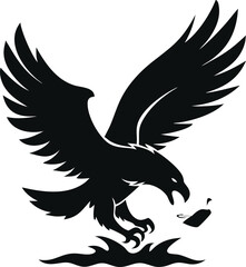 Obraz premium Adobe Illustrator Artwork