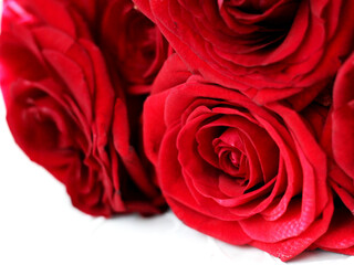 A bouquet of beautiful red roses, buds of romantic flowers.