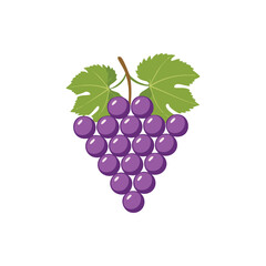 Vector Illustration of Purple Grapes with Green Leaves on White Background.