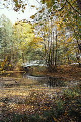autumn in the park