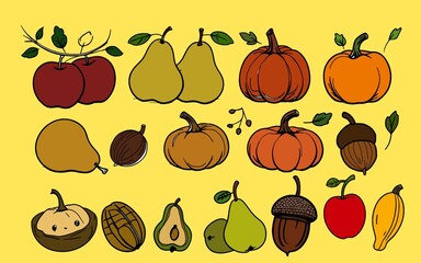 Autumn Clipart. A set of cute autumn themed illustrations featuring various fruits and nuts, ideal for greeting card, scrapbooking, or other craft projects. fruit and nuts isolated by clean background