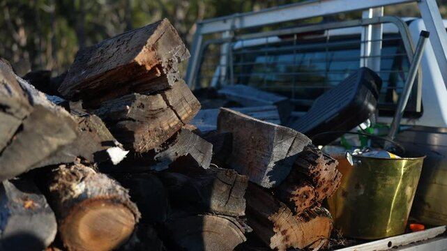 female famer Loading Firewood on a ute Preparing for Winter with Sustainable Home Heating. Hardworking Hands Gathering Wood stacking a wood pile